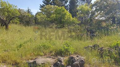 Terreno - Biancavilla