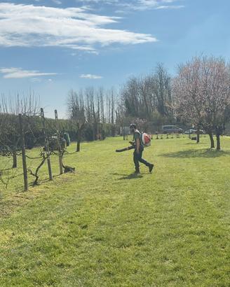 Terreno agricolo