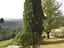 Immagine 16
