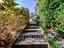 Immagine 19