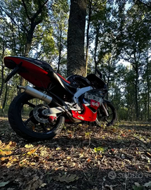 Aprilia rs