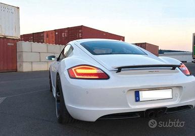 Coppia fanali posteriori per Porsche Boxster 04>08