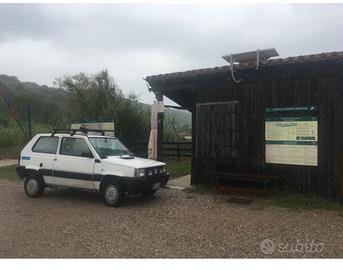 Pandino