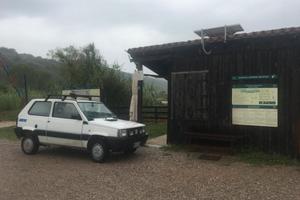 Pandino