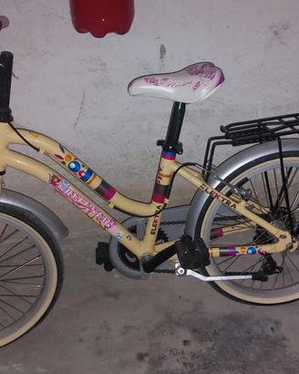 Bicicletta
