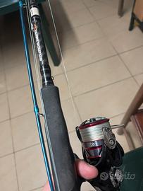 Canna da pesca +mulinello spinning