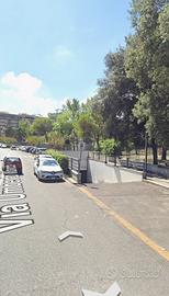 Box valle Aurelia / baldo degli Ubaldi