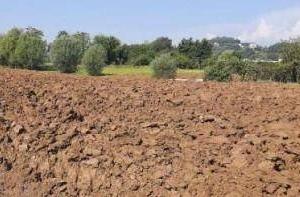 Immobile in asta di 1932 m² con 3 locali a Altavil