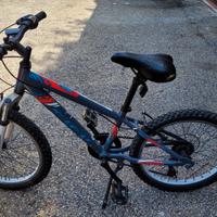 bicicletta Carrera da 20