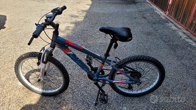 bicicletta Carrera da 20