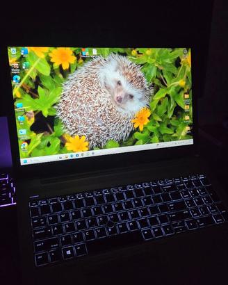 HP EliteBook 850 G6 i7 16GB RAM 256GB SSD Win 11 P