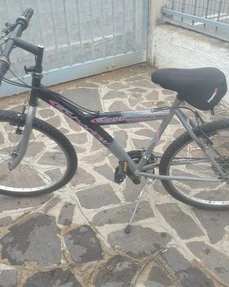 bicicletta 