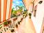 Immagine 11
