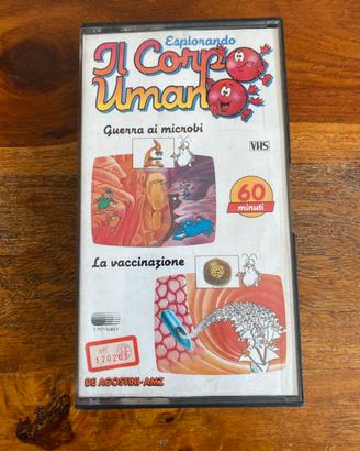 Corpo umano
