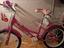 Immagine 6