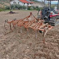 Estirpatore 13 ancore ciancaglini con carrello