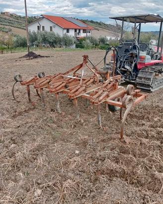 Estirpatore 13 ancore ciancaglini con carrello