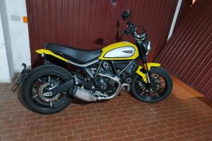 Ducati Scrambler Icon Gialla (2022) - Solo 2600 km