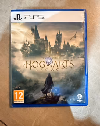 Hogwarts Legacy ps5