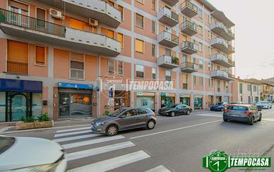 Pavia - Viale Cremona