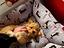 Immagine 24