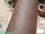 Immagine 4