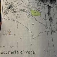 Terreno agricolo 3500m a Suvero (sp)