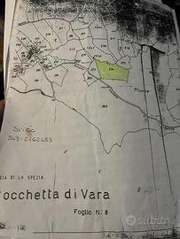 Terreno agricolo 3500m a Suvero (sp)