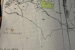 Terreno agricolo 3500m a Suvero (sp)