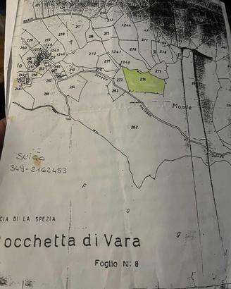 Terreno agricolo 2500m a Suvero (sp)