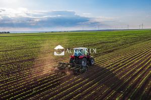 Rif.AT60| terreno agricolo montebelluna