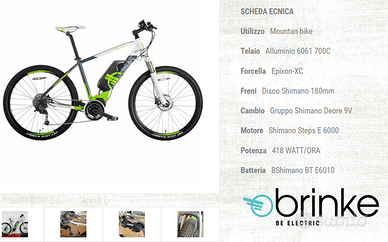 E-MTB Brinke Raptor