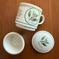 Set tazza porcellana con infusore