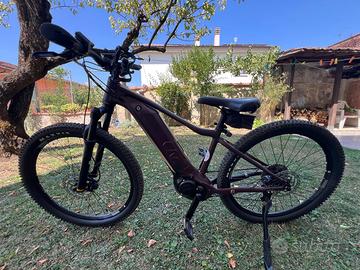 E-bike