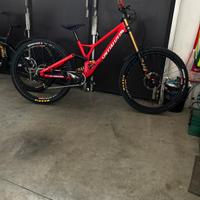 specialized demo 8 29 