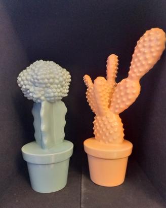 Cactus ceramica
