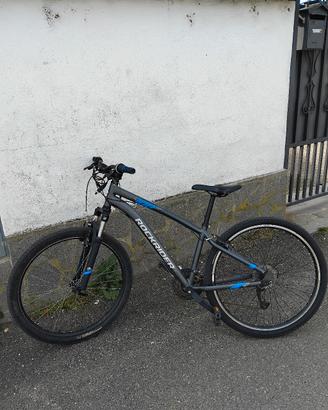 rockrider st 100