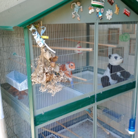 Voliera usata ma come nuova colore verde