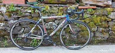 Wilier Triestina Evasion