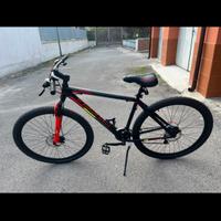 Bici stucchi 29