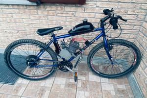 Bici a motore