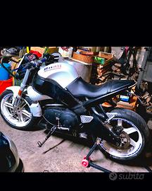 buell xb 2004