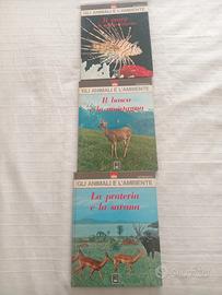 gli animali e l'ambiente 