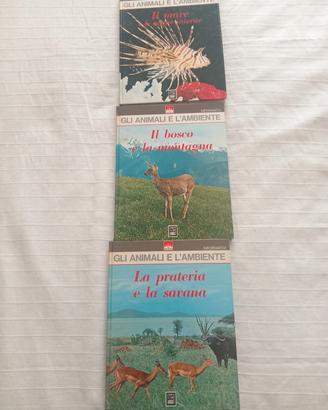 gli animali e l'ambiente 