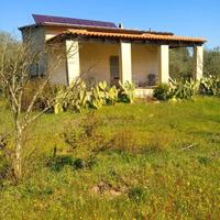 Terreno agricolo con villetta