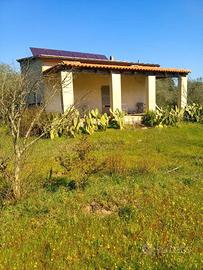 Terreno agricolo con villetta