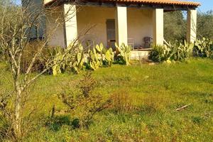 Terreno agricolo con villetta