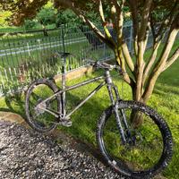 Hardtail Marino