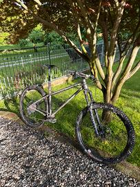 Hardtail Marino