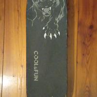 skateboard eletrico